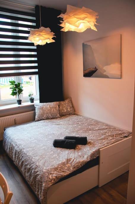 *Apartamenty Kattowitz 12 Bagian luar foto